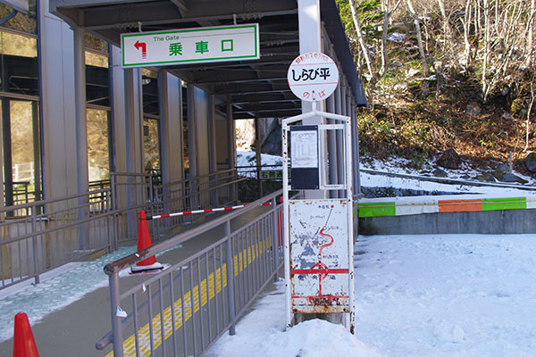 ����ѕ��w