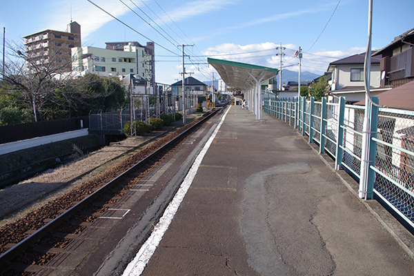 �O��������w