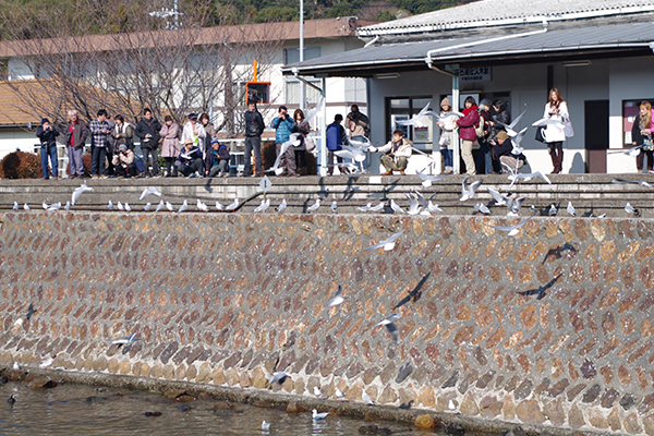 �l���΍��v�ĉw