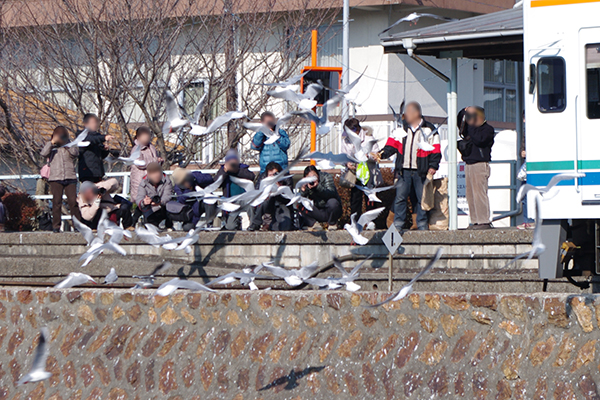 �l���΍��v�ĉw