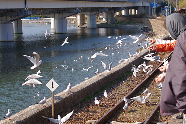 �l���΍��v�ĉw