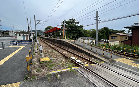 ���É��S���E�������w