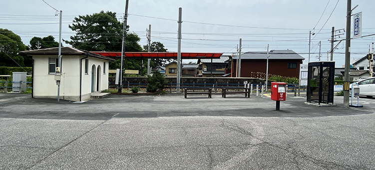 ���É��S���E�������w