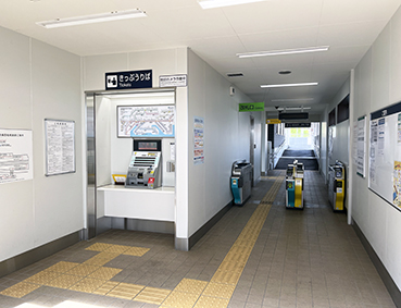 ���É��S���E�����f���w