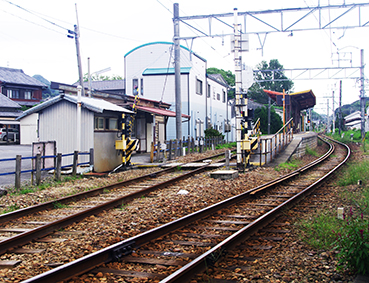 ���É��S���E�������w