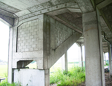 ���É��S�� ��x���w