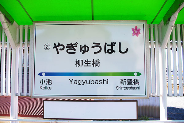 �������w