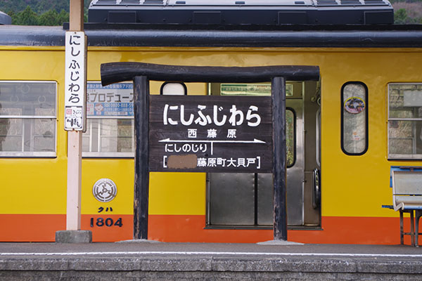 �������w