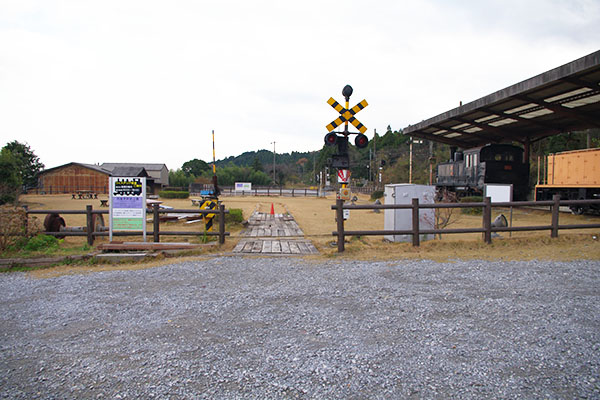 �������w