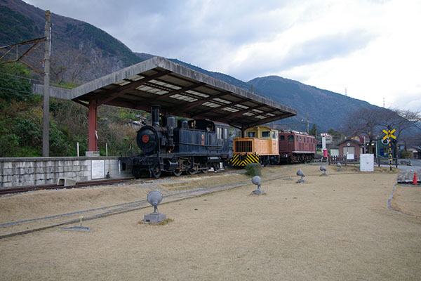 �������w