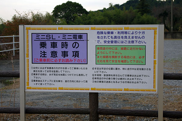 �������w