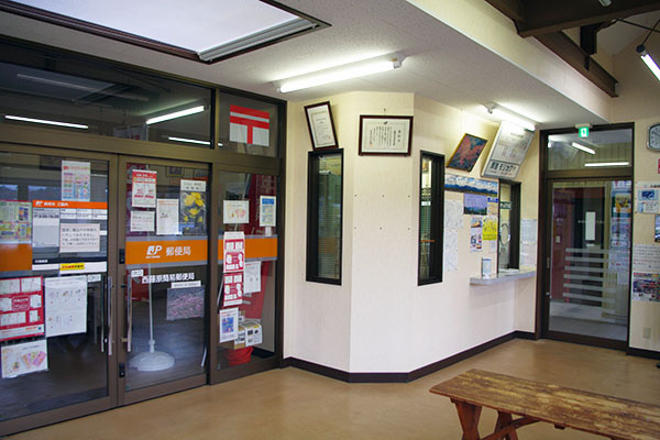 �������w