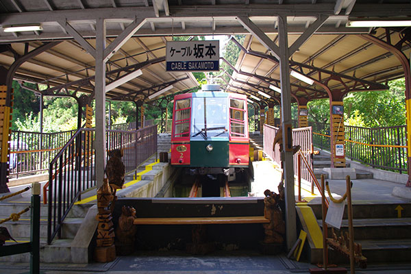 �P�[�u����{�w