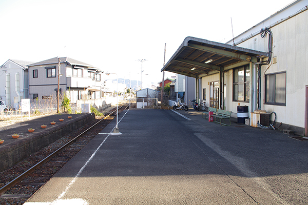 �I�Ɍ�V�w�i�I�B�S���j