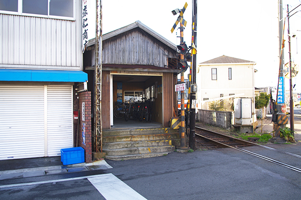 ����V�w�i�I�B�S���j