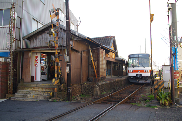 ����V�w�i�I�B�S���j