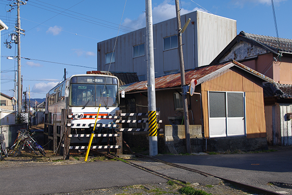 ����V�w�i�I�B�S���j