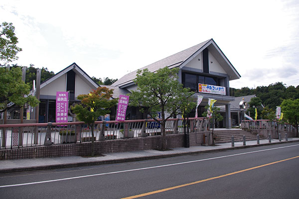 �V�����w