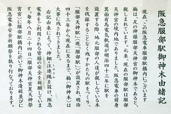 �����V�_�w