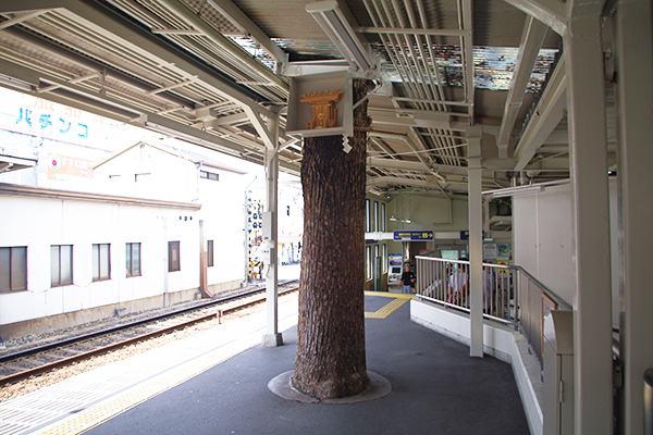 �����V�_�w