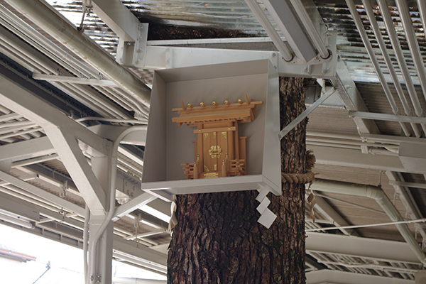 �����V�_�w