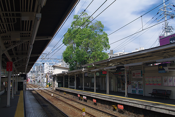 �����V�_�w