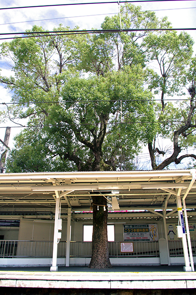 �����V�_�w