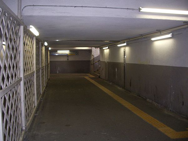 �l�������w