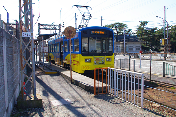 �l���w�O�w