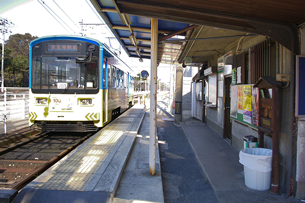 �l���w�O�w