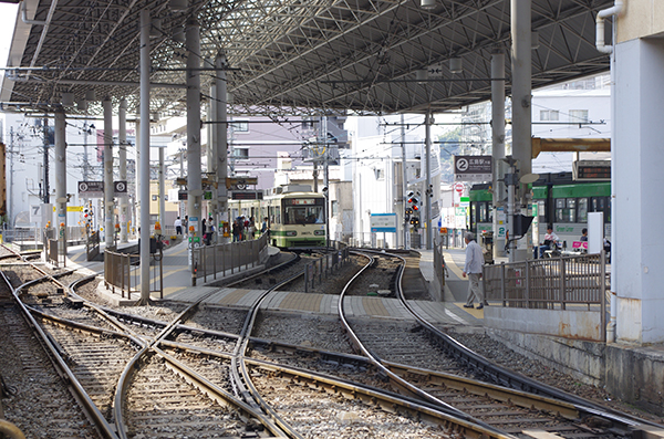 �L�d���L��