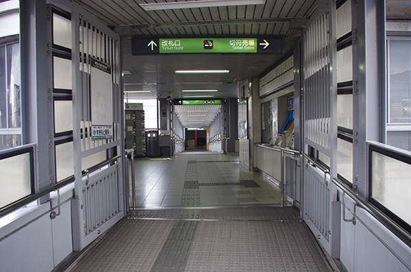 �A�X�g�������C���@�咬�w