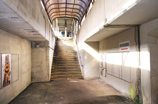 �����V�⍑�w