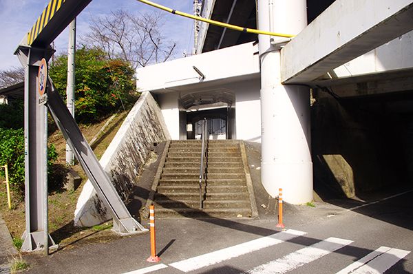 �����V�⍑�w