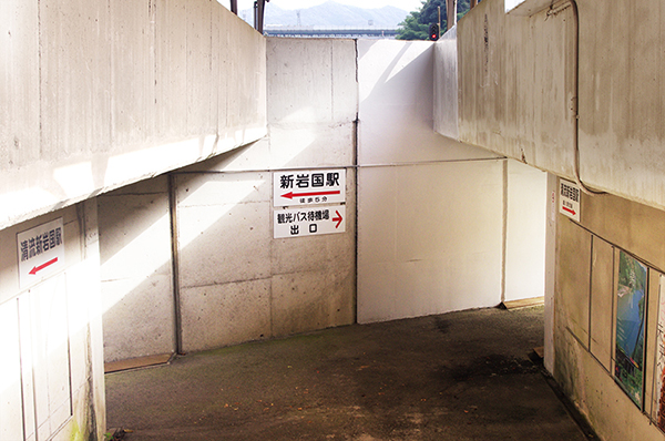 �����V�⍑�w