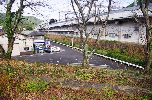 �����V�⍑�w