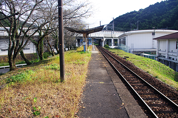 �����V�⍑�w