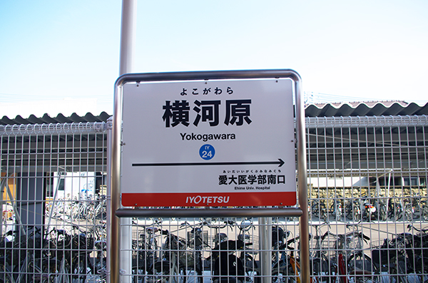 ���͌��w�@�V�w��