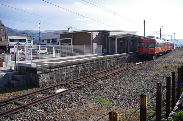 ���͌��w�@�V�w��