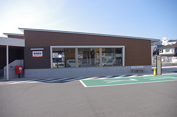 ���͌��w�@�V�w��