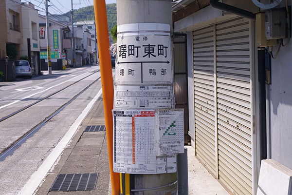 ���������w