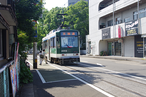 ���q�w�O�w