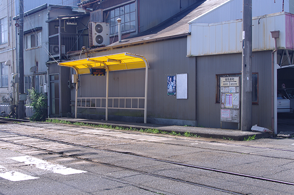 ��ƒ����w