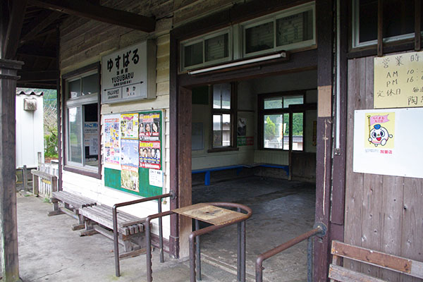 ���{���w