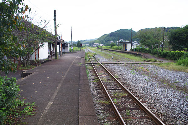 ���{���w