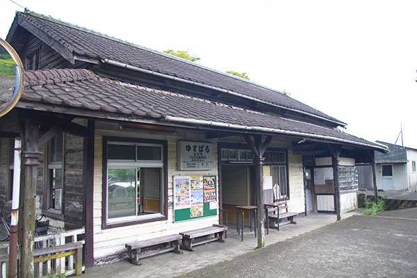 ���{���w