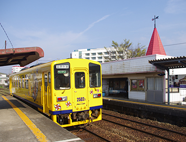 �����S�� ����w