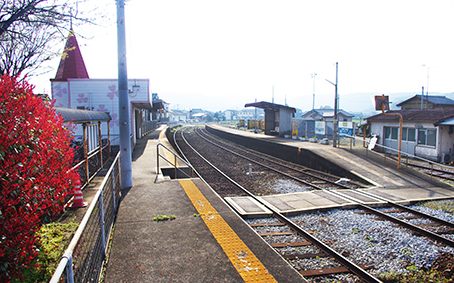 �����S�� ����w