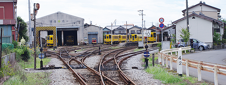 �����S�� �쓇���w