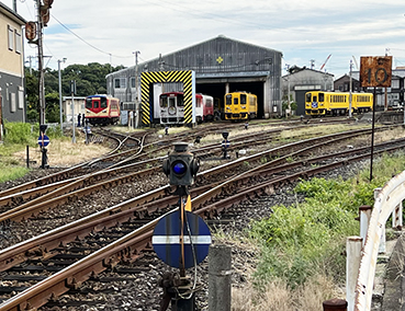 �����S�� �����D�Éw